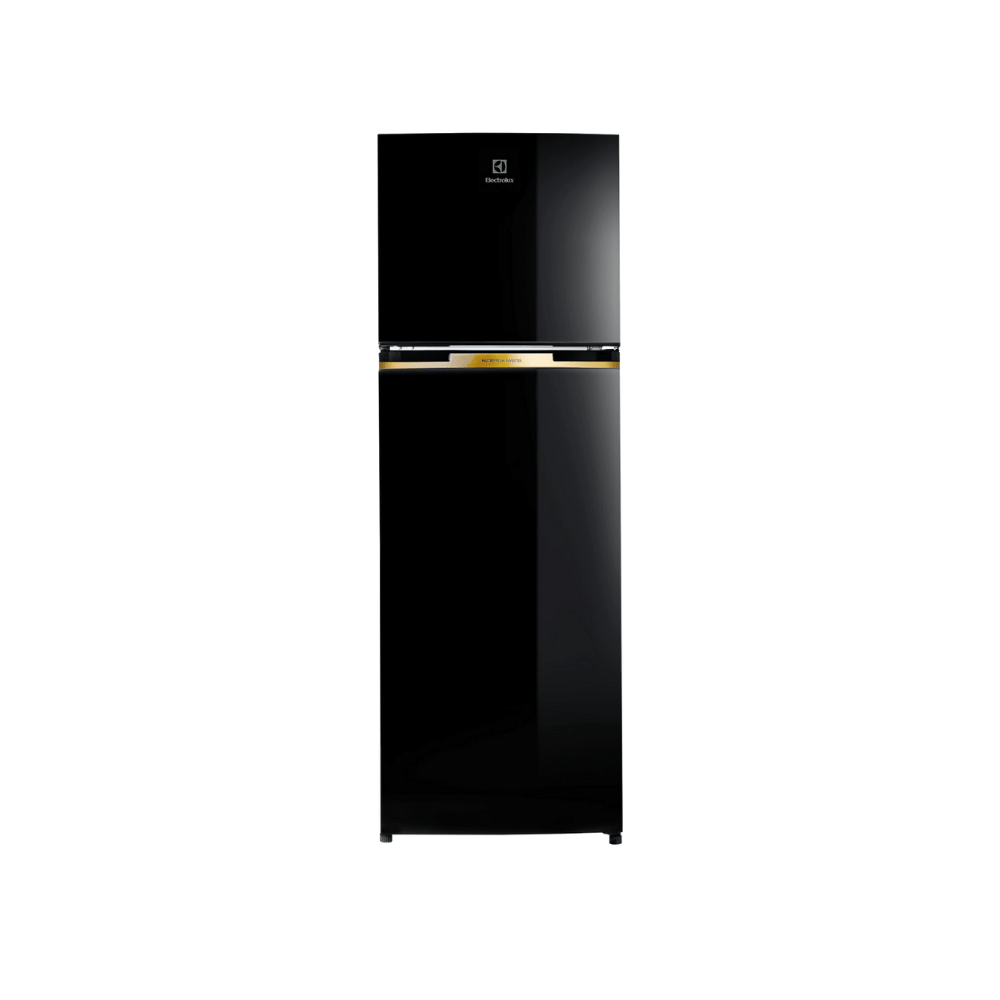 Tu Lanh Electrolux ETB3400J H 1