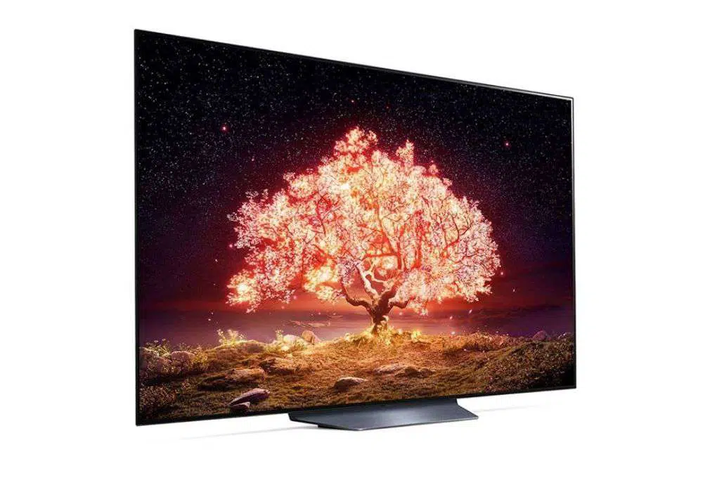 Smart Oled Lg 4k 65 Inch 65b1pta04 Org