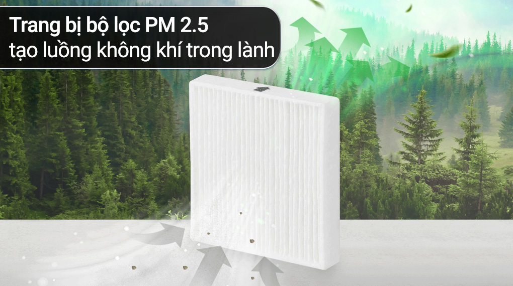 Hai Chieu Casper Xh 006