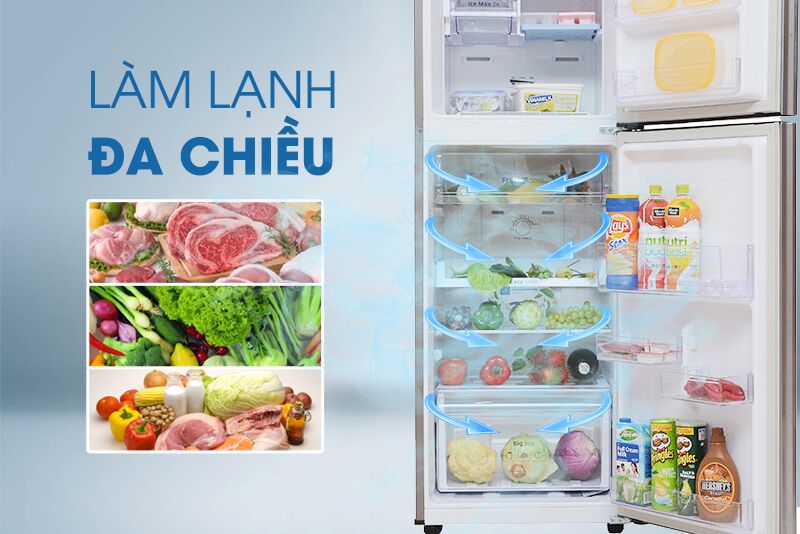 Tu Lanh Samsung Rt22farbdsasv2